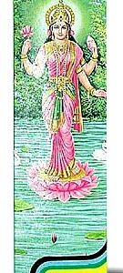 Laxmi - Exotic Düfte (20 Stück)