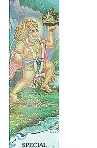 Hanuman - Exotic Düfte (20 Stück)