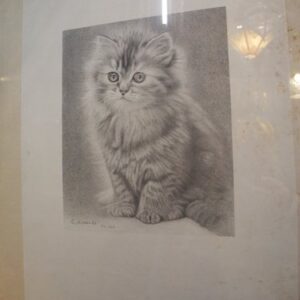 Kitten / kleine Kätzchen in Graphit ( Bild )