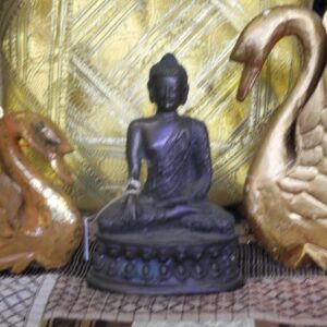 Buddha zeuge der Erde Mudra