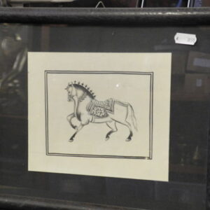 Marwari Pferd ( Bild )