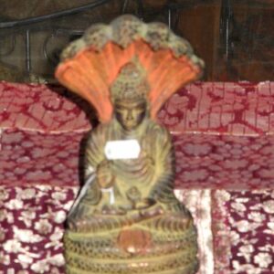 Buddha Naga